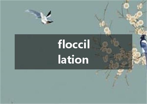 floccillation是什么意思