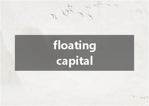 floating capital是什么意思