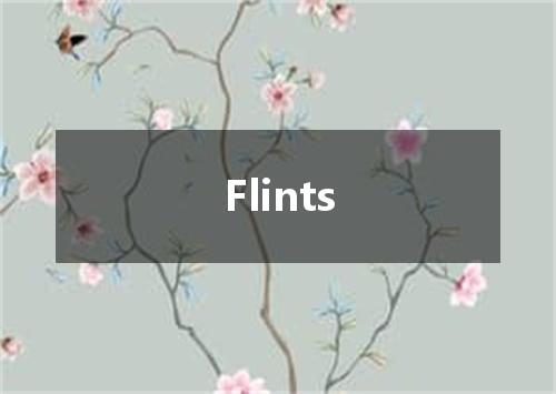 Flints是什么意思