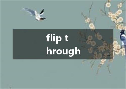 flip through是什么意思