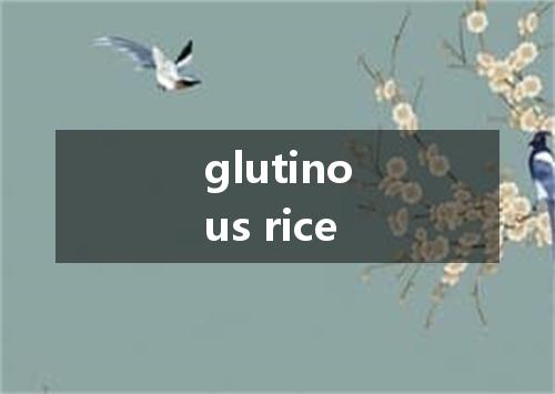 glutinous rice是什么意思