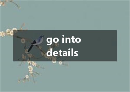 go into details是什么意思