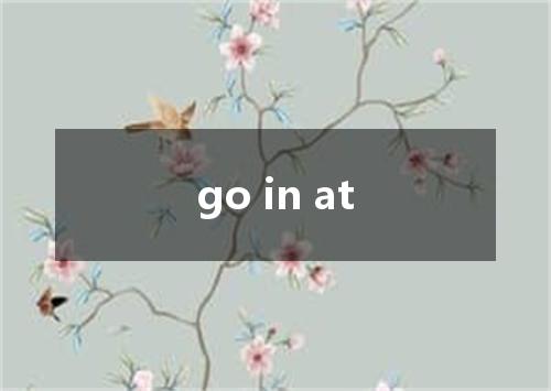 go in at是什么意思