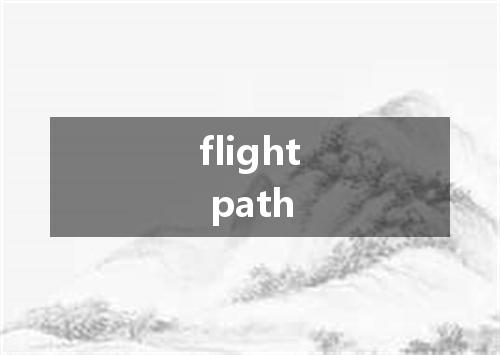 flight path是什么意思
