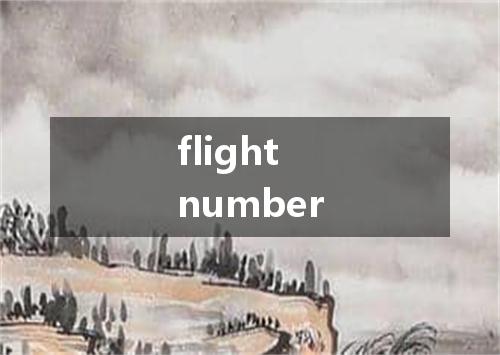 flight number是什么意思