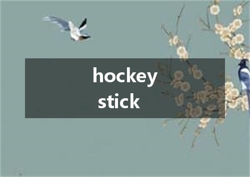 hockey stick是什么意思