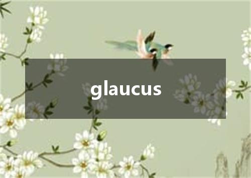 glaucus是什么意思