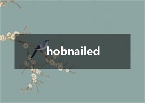 hobnailed是什么意思