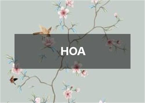 HOA是什么意思
