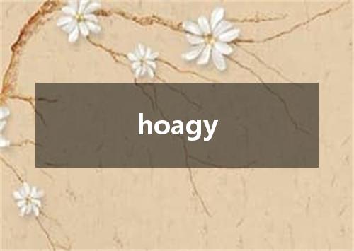 hoagy是什么意思