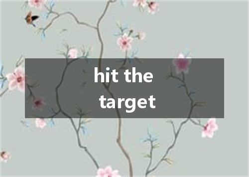 hit the target是什么意思