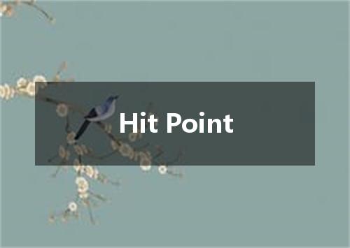 Hit Point是什么意思