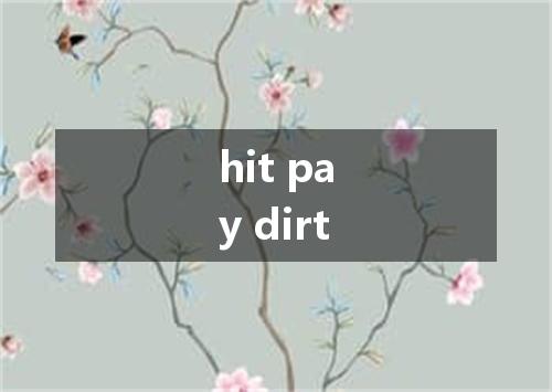 hit pay dirt是什么意思