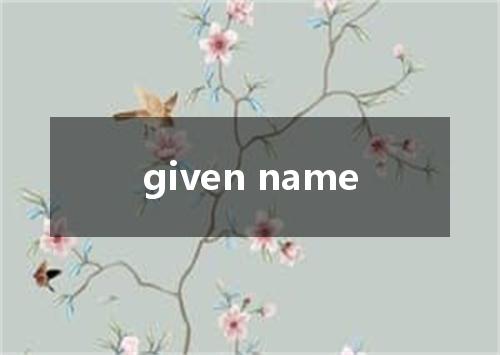 given name是什么意思