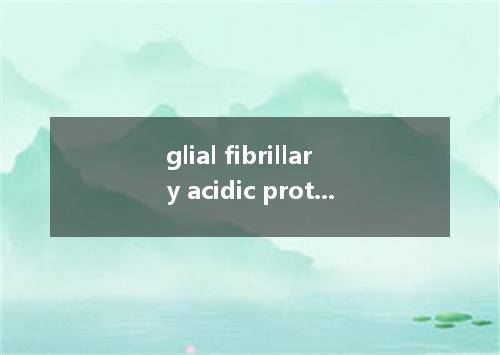 glial fibrillary acidic protein是什么意思
