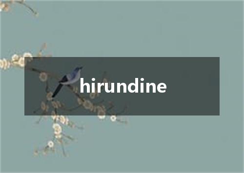 hirundine是什么意思