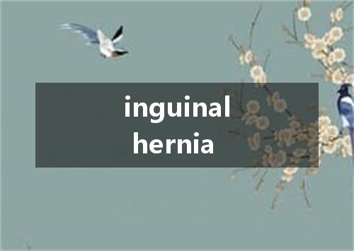 inguinal hernia是什么意思