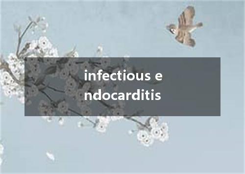 infectious endocarditis是什么意思