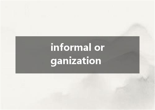 informal organization是什么意思