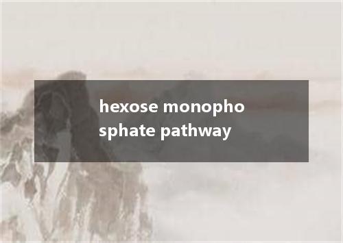 hexose monophosphate pathway是什么意思