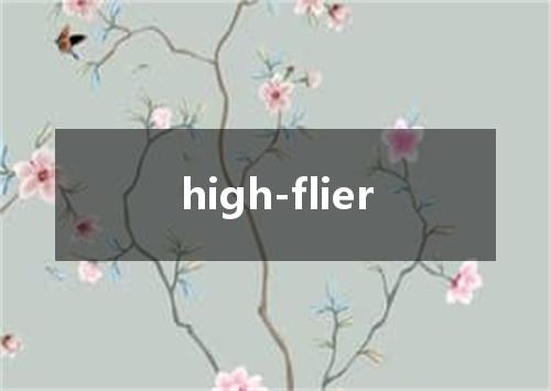 high-flier是什么意思