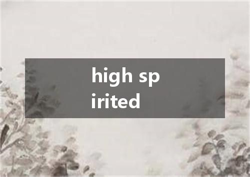 high spirited是什么意思
