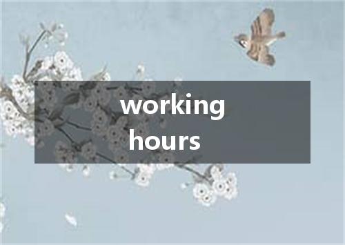 working hours是什么意思