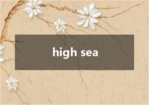 high sea是什么意思