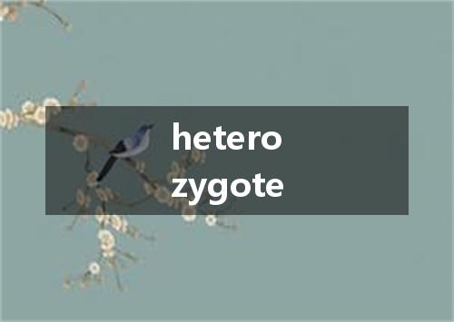 heterozygote是什么意思