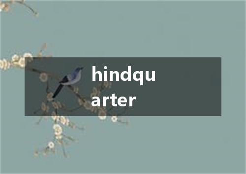 hindquarter是什么意思