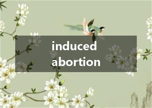 induced abortion是什么意思