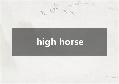 high horse是什么意思