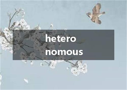heteronomous是什么意思