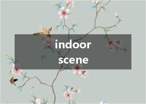 indoor scene是什么意思