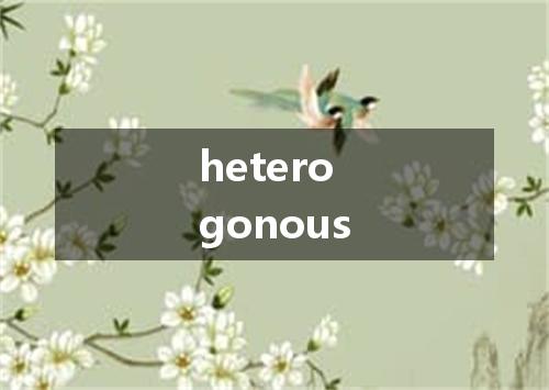 heterogonous是什么意思