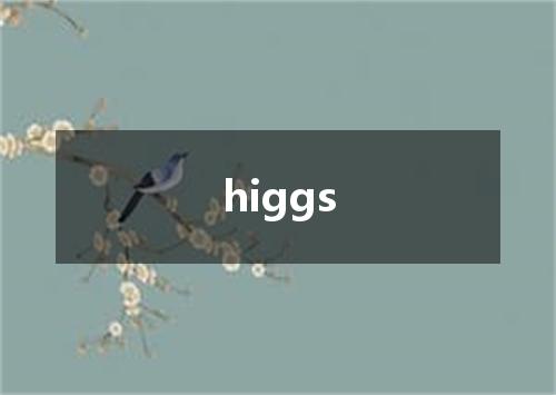 higgs是什么意思