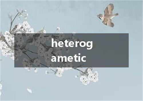 heterogametic是什么意思