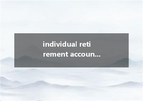 individual retirement account是什么意思