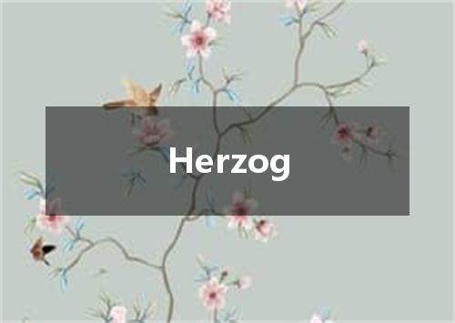 Herzog是什么意思