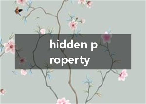 hidden property是什么意思