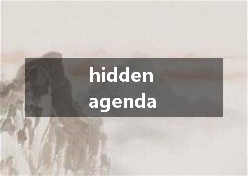 hidden agenda是什么意思