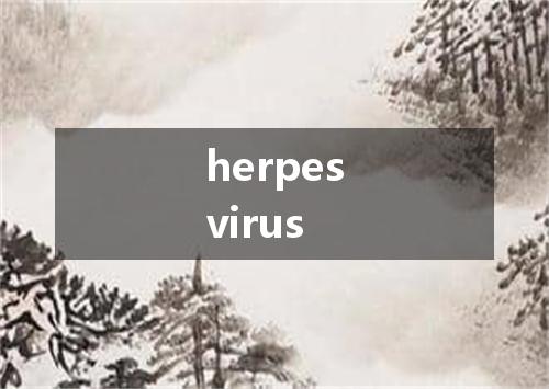 herpesvirus是什么意思
