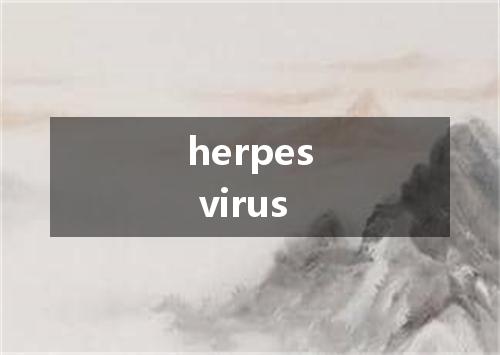 herpes virus是什么意思