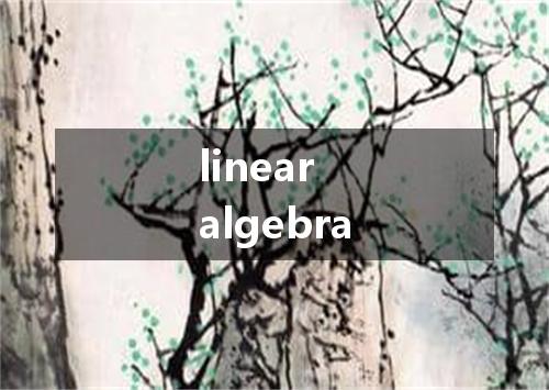 linear algebra是什么意思
