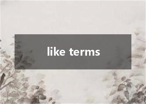 like terms是什么意思