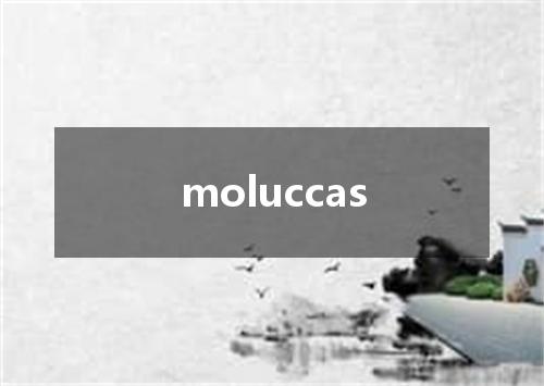 moluccas是什么意思