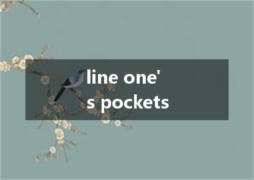 line one's pockets是什么意思
