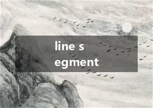 line segment是什么意思