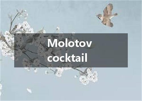 Molotov cocktail是什么意思