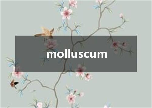 molluscum是什么意思